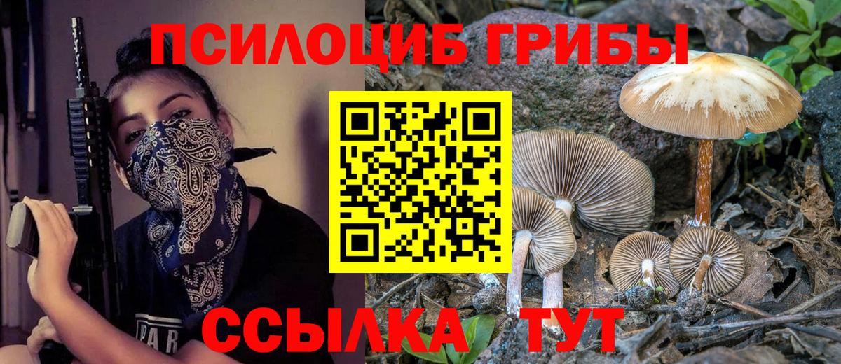 Луга  Псилоцибиновые грибы GOLDEN TEACHER  наркотики  Вход с VPN 