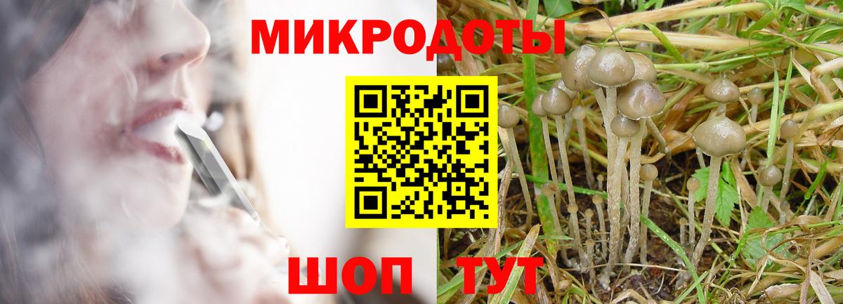 Галлюциногенные грибы Psilocybine cubensis Луга